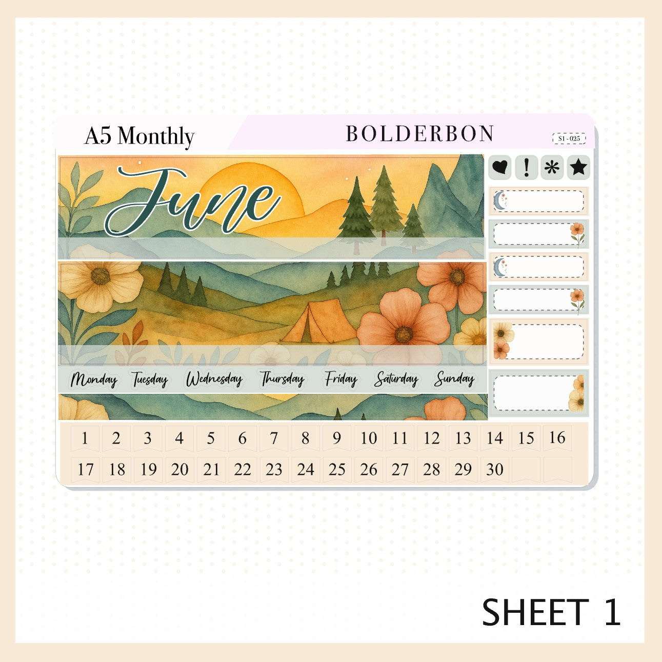 JUNE A5 MONTHLY KIT || Planner Stickers for Erin Condren