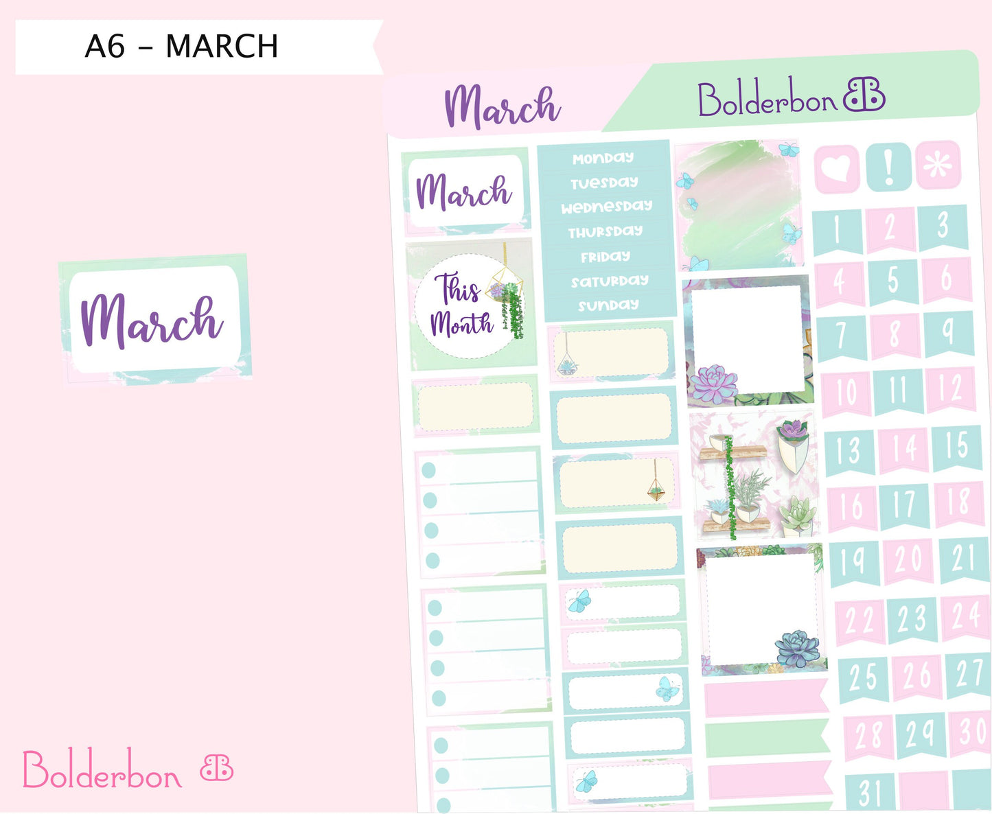 MARCH A6 Hobonichi || Hand Drawn Cute Serenity Succulent Monthly Sticker Kit Planner Stickers
