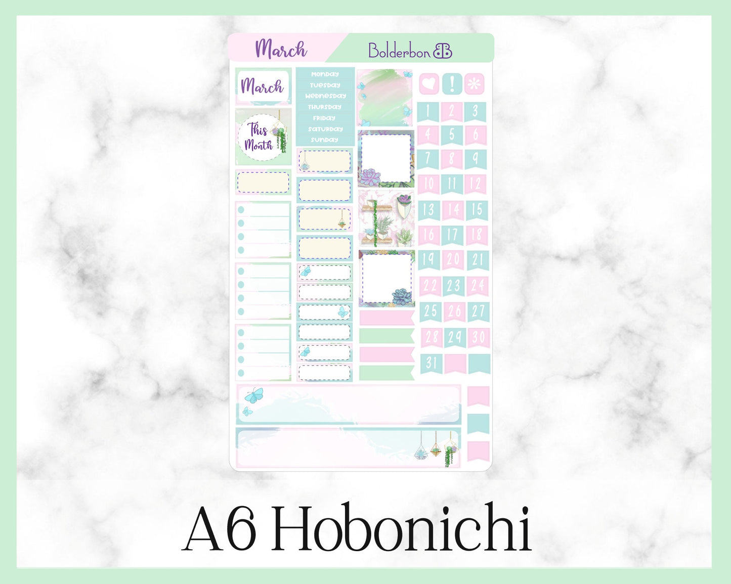 MARCH A6 Hobonichi || Hand Drawn Cute Serenity Succulent Monthly Sticker Kit Planner Stickers