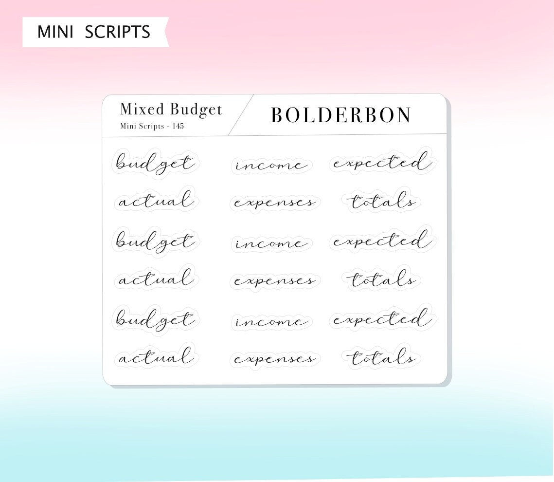 BUDGET - MIXED SHEET || Elegant Script Stickers