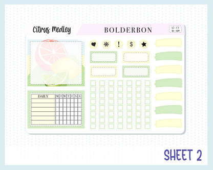CITRUS MEDLEY || Hobonichi Cousin Planner Sticker Kit