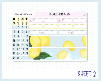 AUGUST || Hobonichi Cousin Planner Sticker Kit