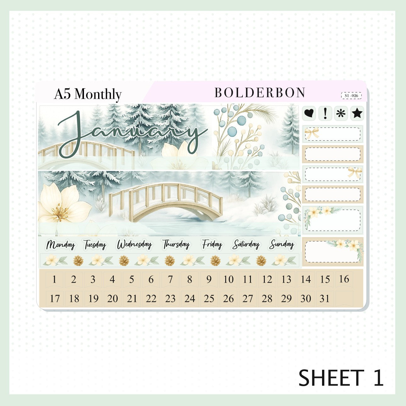 JANUARY A5 MONTHLY KIT || Planner Stickers for Erin Condren
