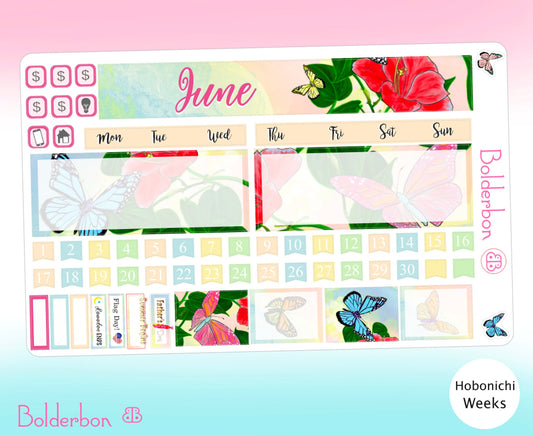 June Hobonichi Weeks || Sticker Kit, Hobonichi Weeks Planner Stickers, Cute Doodle Stickers, Hobo Weeks Set, June Hobo Kit