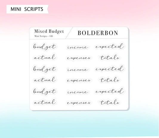 BUDGET - MIXED SHEET || Elegant Script Stickers