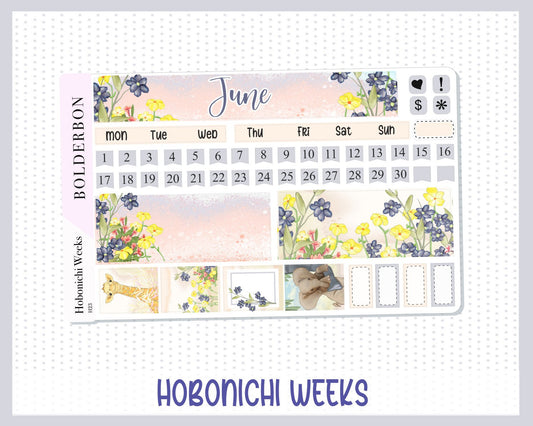 JUNE Hobonichi Weeks || Hand Drawn, Sticker Kit, Monthly Planner Stickers for Hobo Weeks, Safari, Savannah, Nature