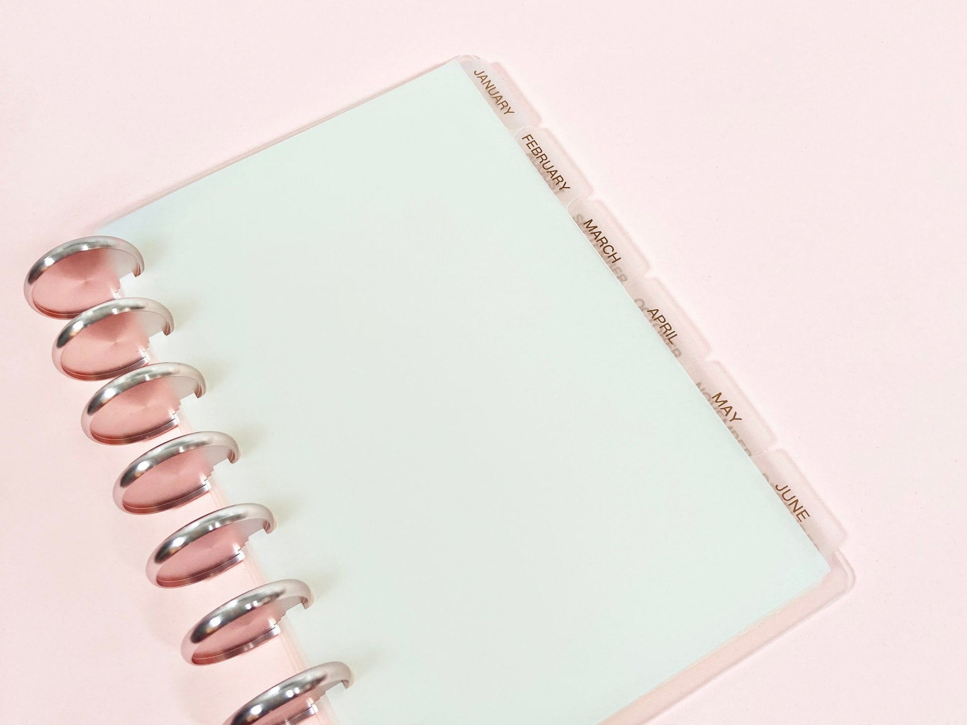 MONTHLY DISC Dividers || Half Letter, Rose Gold Foil, 12 Side Tabs, 8 Disc Punch, Clear, Transparent Frost