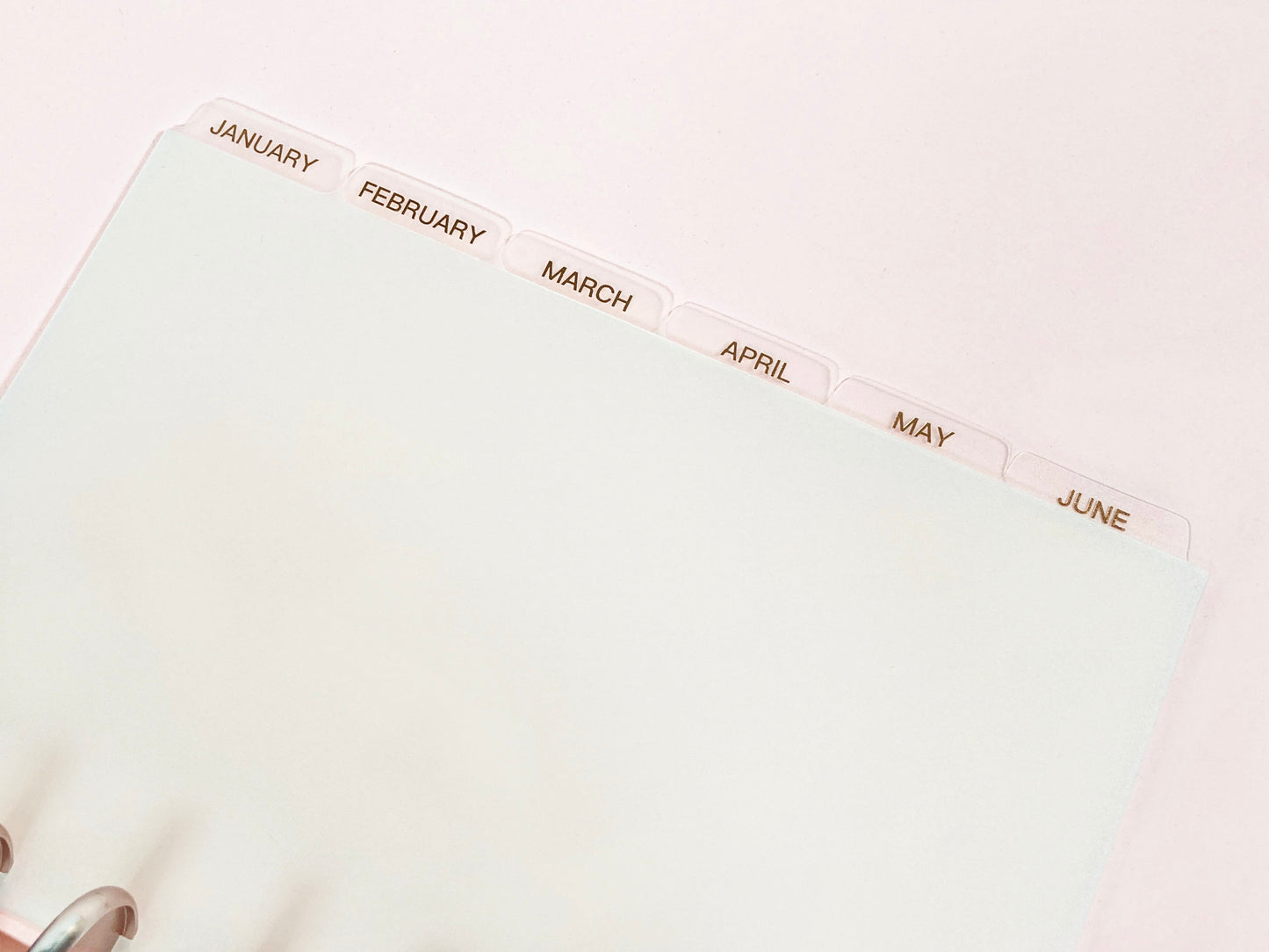 MONTHLY DISC Dividers || Half Letter, Rose Gold Foil, 12 Side Tabs, 8 Disc Punch, Clear, Transparent Frost