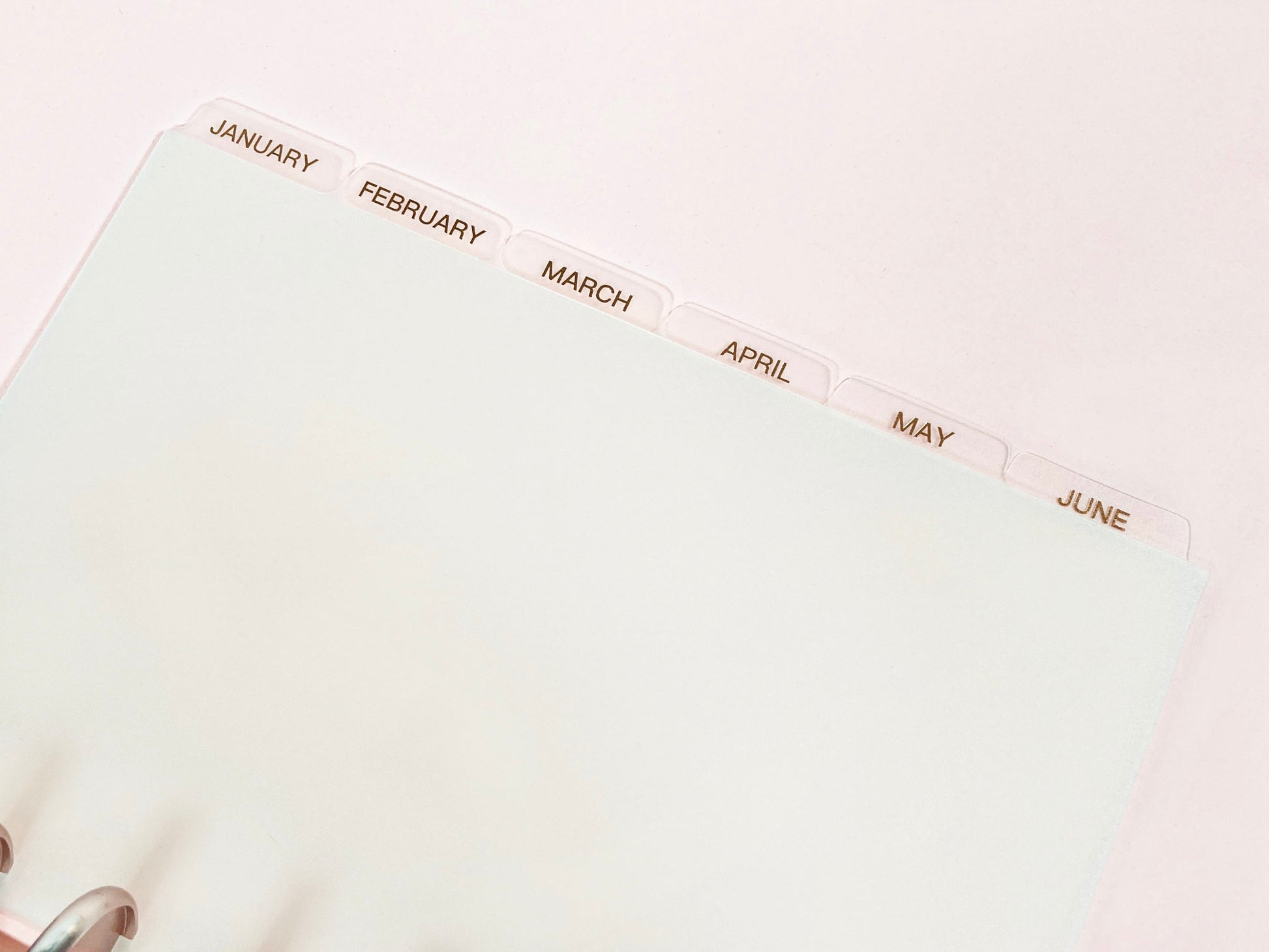 MONTHLY DISC Dividers || Half Letter, Rose Gold Foil, 12 Side Tabs, 8 Disc Punch, Clear, Transparent Frost