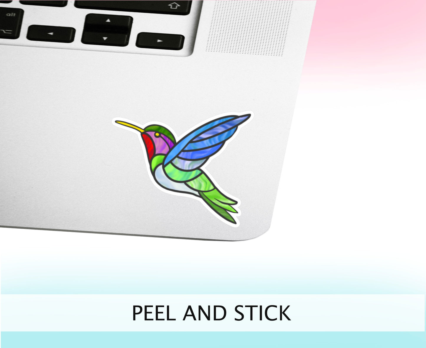 HUMMINGBIRD Sticker || Hand Drawn, Waterproof Vinyl Decal, Spring, Summer, Bird Feeder