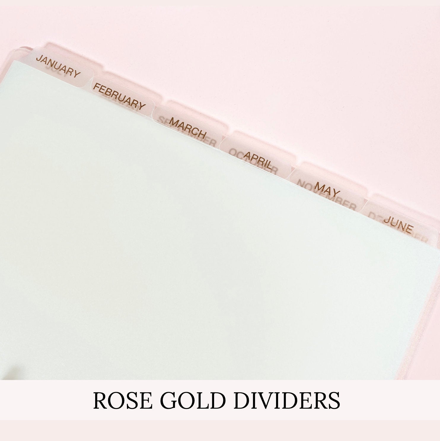 MONTHLY DISC Dividers || Half Letter, Rose Gold Foil, 12 Side Tabs, 8 Disc Punch, Clear, Transparent Frost