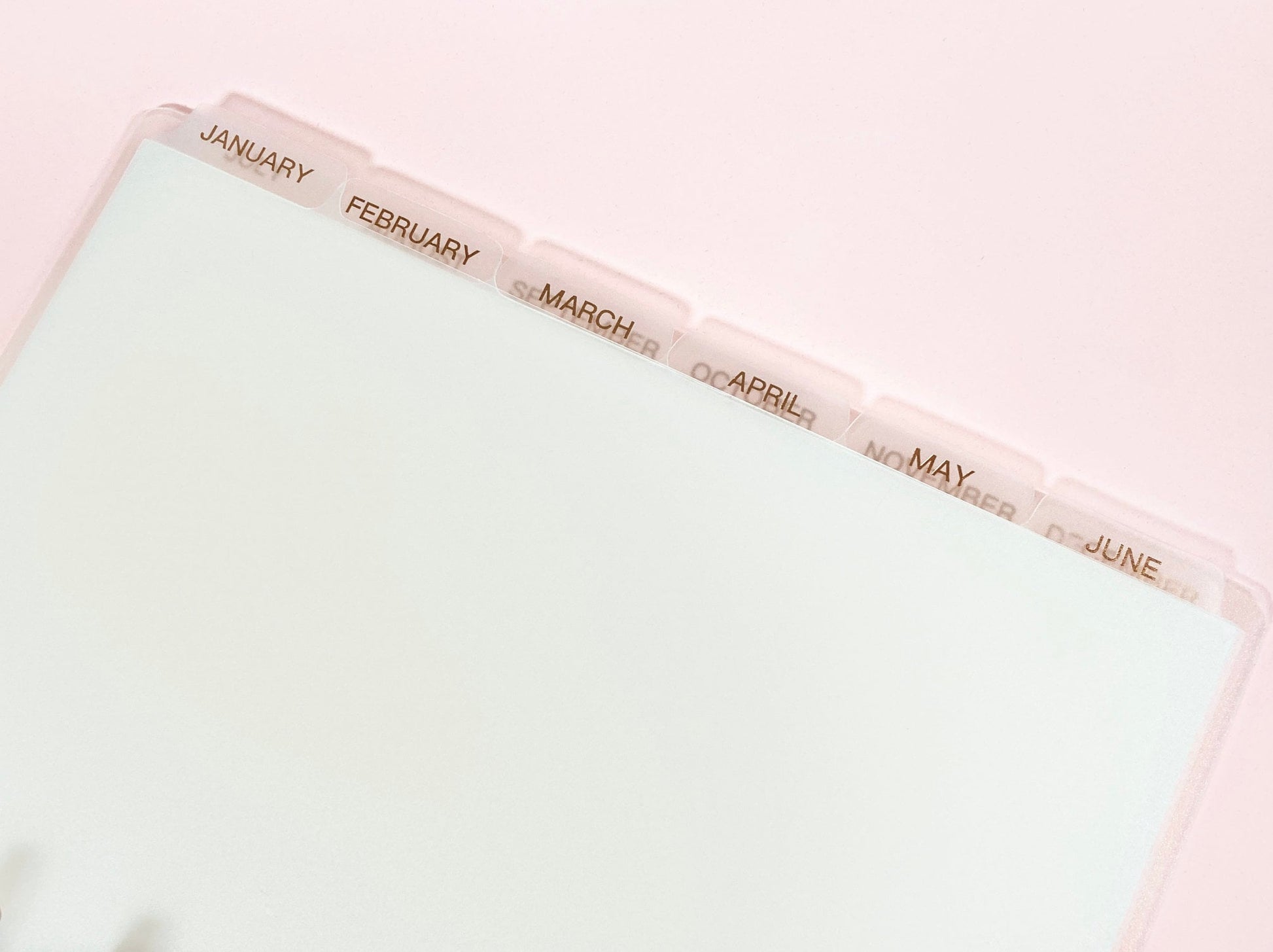 MONTHLY DISC Dividers || Half Letter, Rose Gold Foil, 12 Side Tabs, 8 Disc Punch, Clear, Transparent Frost