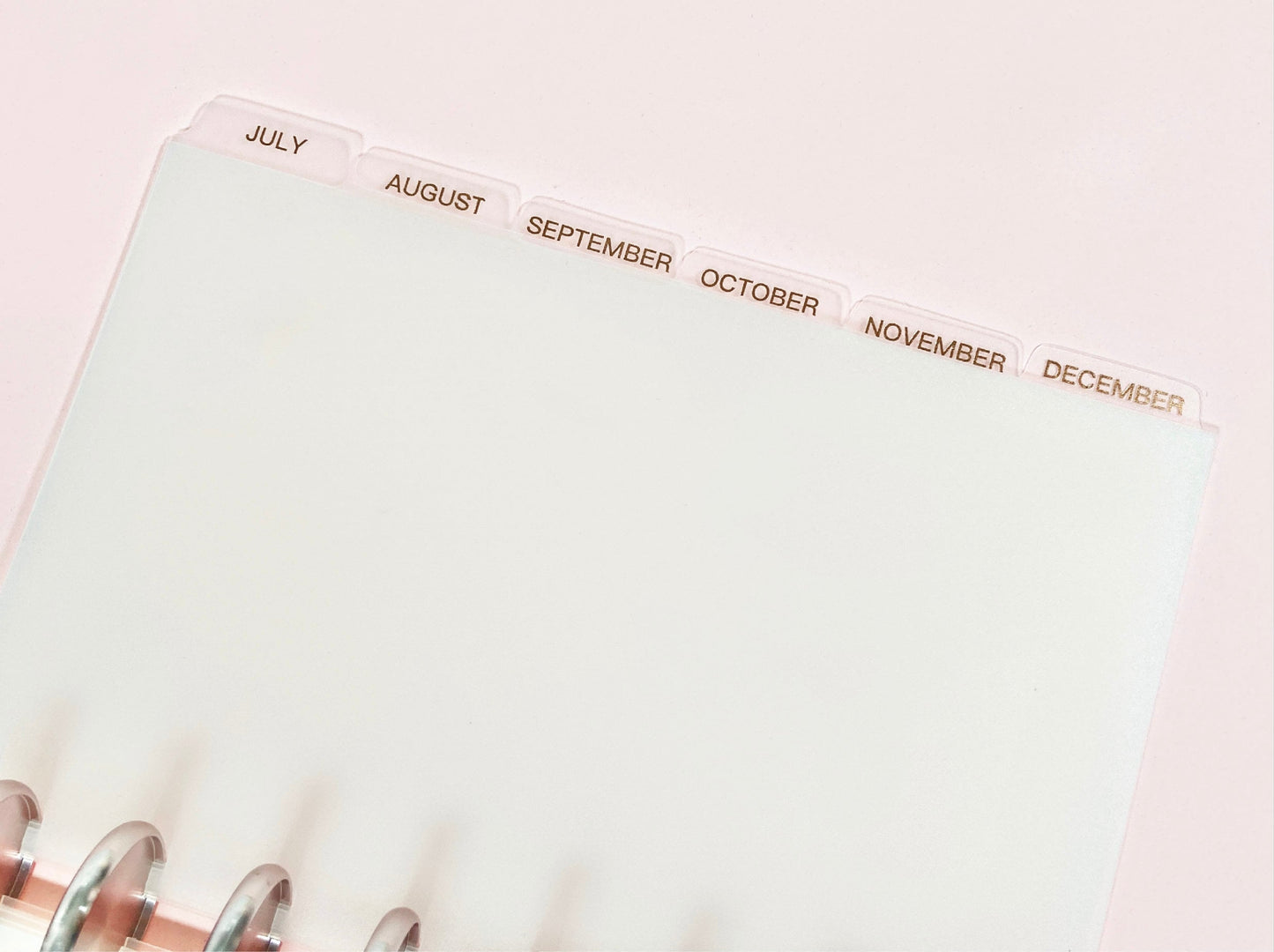 MONTHLY DISC Dividers || Half Letter, Rose Gold Foil, 12 Side Tabs, 8 Disc Punch, Clear, Transparent Frost