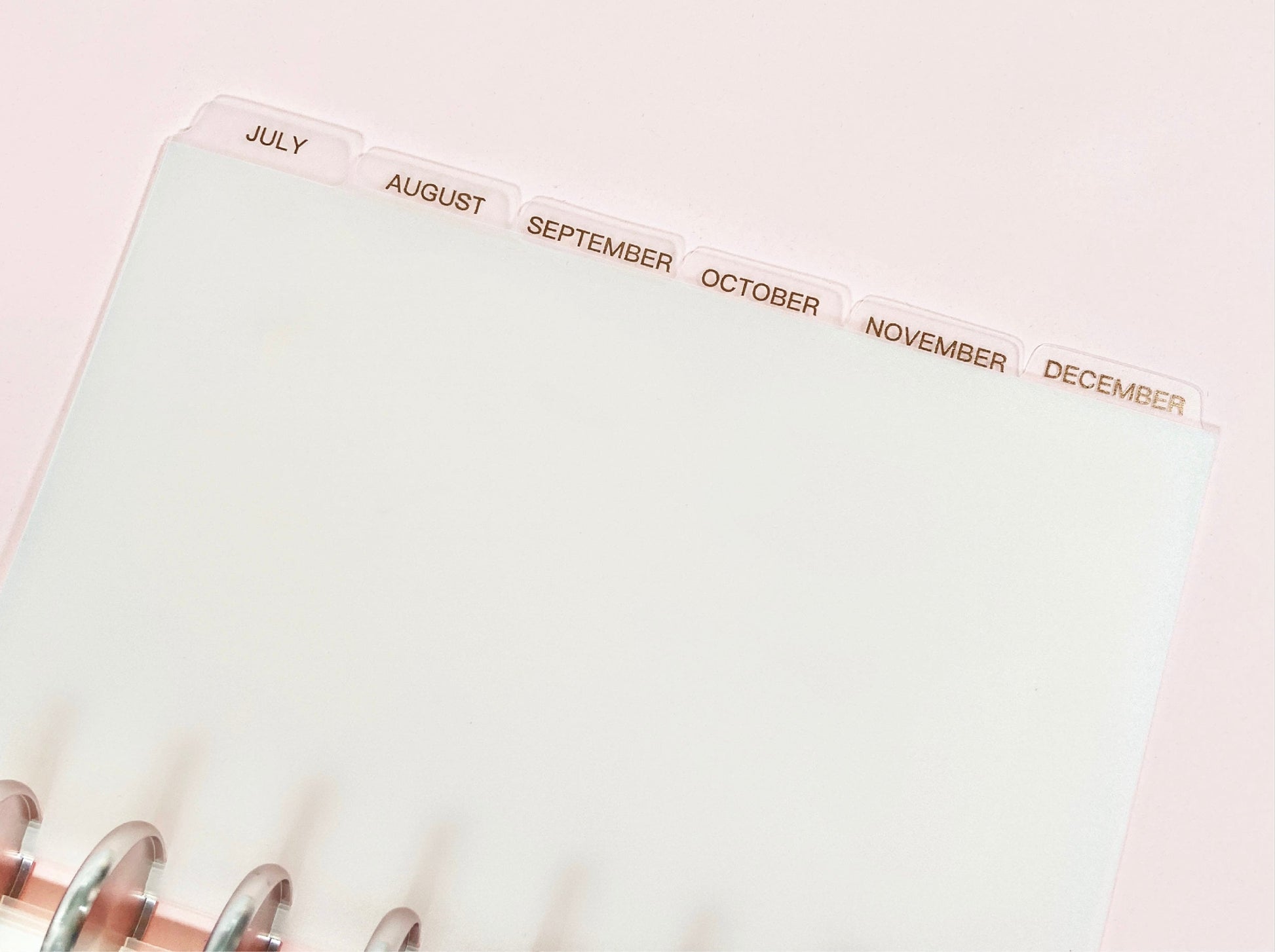 MONTHLY DISC Dividers || Half Letter, Rose Gold Foil, 12 Side Tabs, 8 Disc Punch, Clear, Transparent Frost